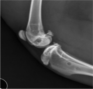 8-chronic-radiology